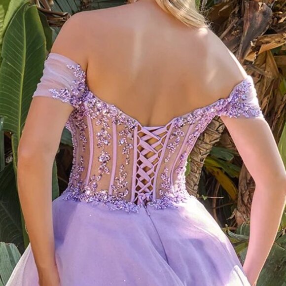 New Off Shoulder Short Fashion Forward Mesh Dress w/ Sheer Boned Bodice GS3684 - Picture 8 of 9